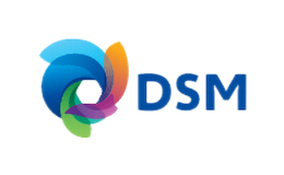 DSM帝斯曼