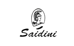 賽蒂尼Saidini