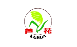 LUHUA蘆花