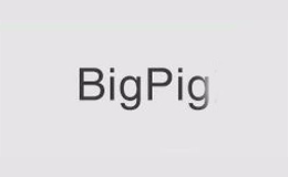 BIGPIG