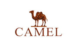 Camel駱駝