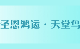 圣恩鴻運·天堂鳥