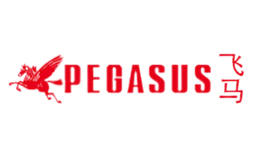 PEGASUS飛馬