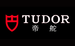 TUDOR帝舵