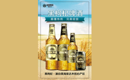 【皖商集團(tuán)】黑枸杞啤酒