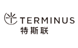 特斯聯(lián)TERMINUS