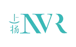 上揚(yáng)NVR