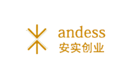 安實創(chuàng)業(yè)Andess