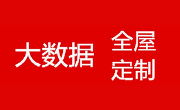 大數(shù)據(jù)