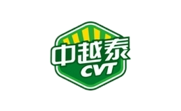 中越泰cvt