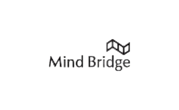 mindbridge