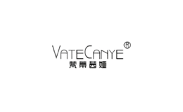 vatecanye服飾